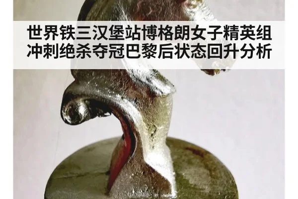 世界铁三汉堡站博格朗女子精英组冲刺绝杀夺冠巴黎后状态回升分析 - nine game